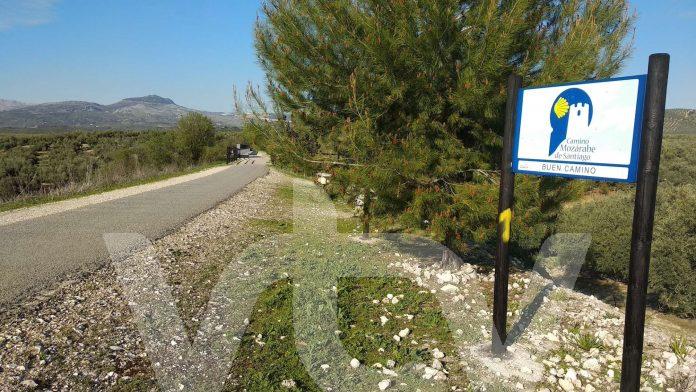 camino mozárabeII