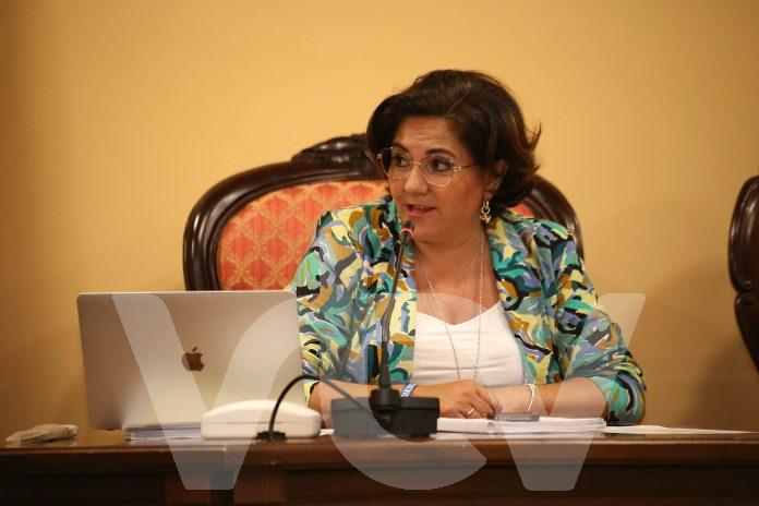 230719 PLENO Vox