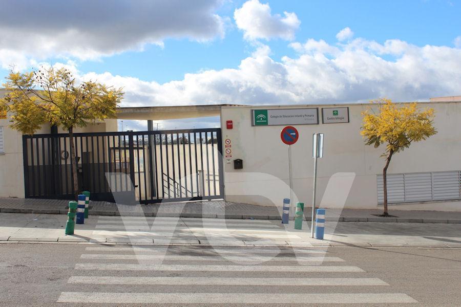 exhibicionismo, colegio