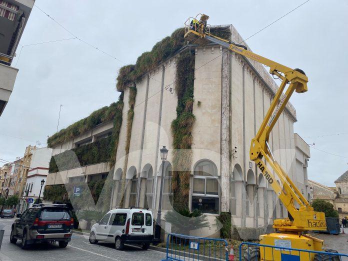 retirada jardín vertical