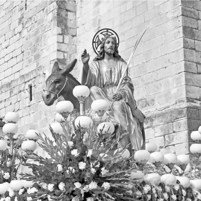 Pollinita Magna, Agrupación de Cofradías