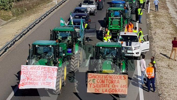 Tractorada-Lucena