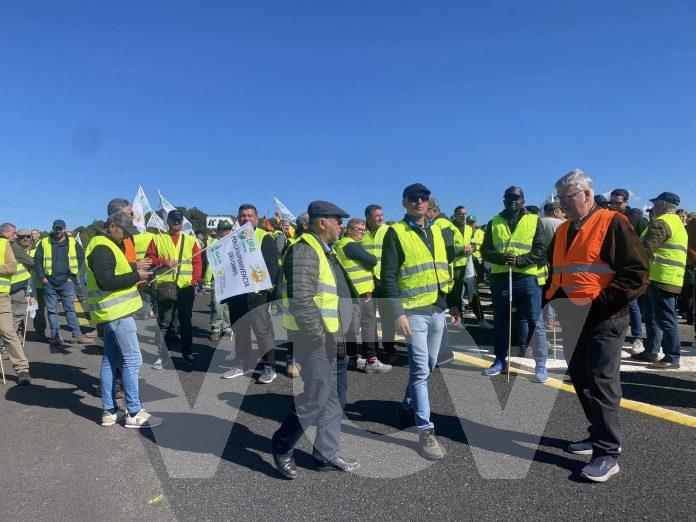 concentración campo 2702