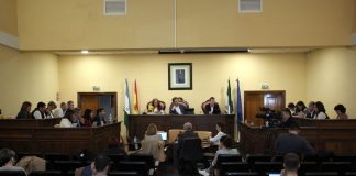 PLENO, SDM