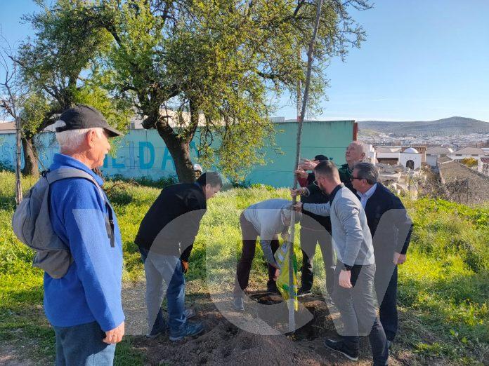 arbol cecilio barroso