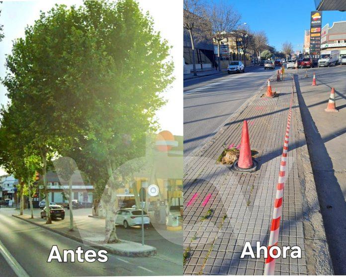 carril bici ciudadanos