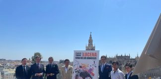 Toros, Lucena