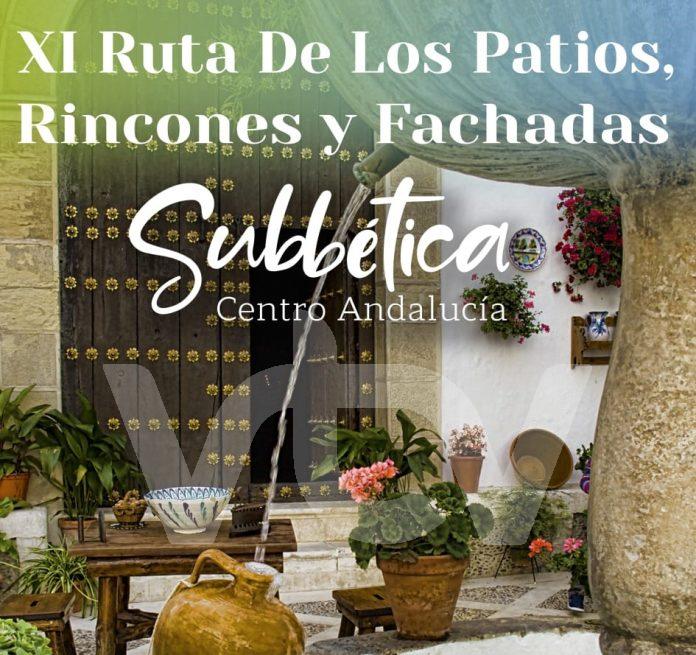 concurso patios 24