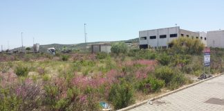 Solares, limpieza