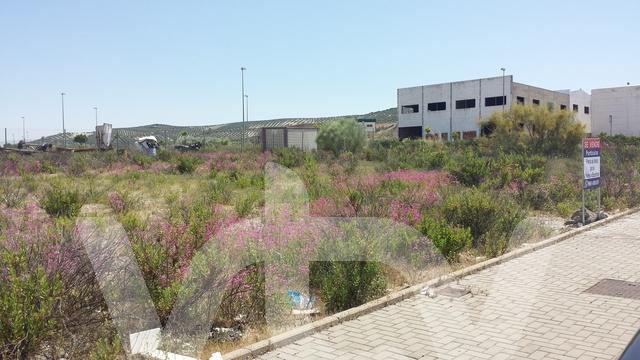 SOLARES SUCIEDAD Solares, limpieza