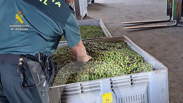 guardia civil robo aceituna