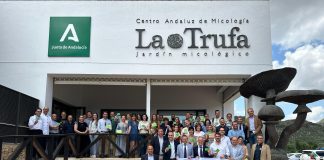 Geoparque, subbética