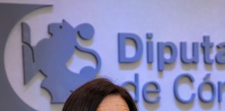 Diputación, convocatoria, subvenciones