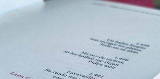 Poesía, Lara Cantizani