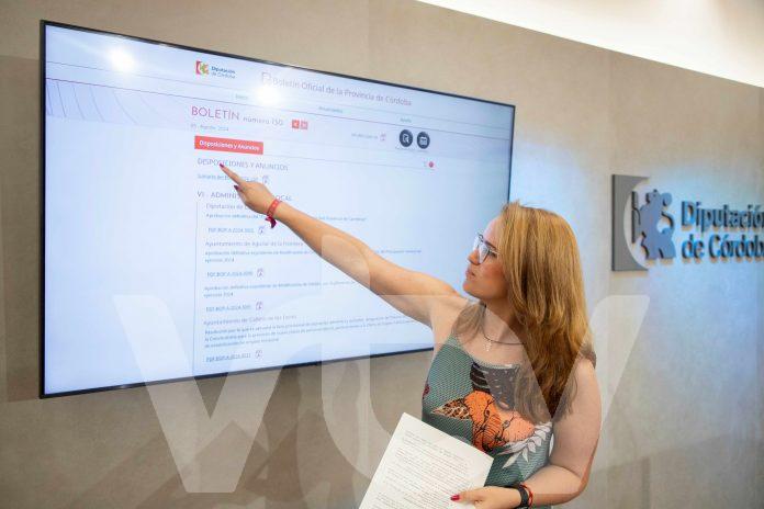 nuevo boja diputación