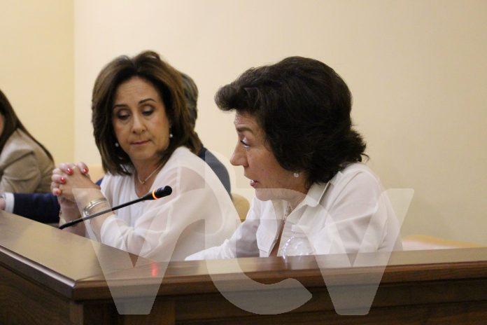 pleno mayo25 vox