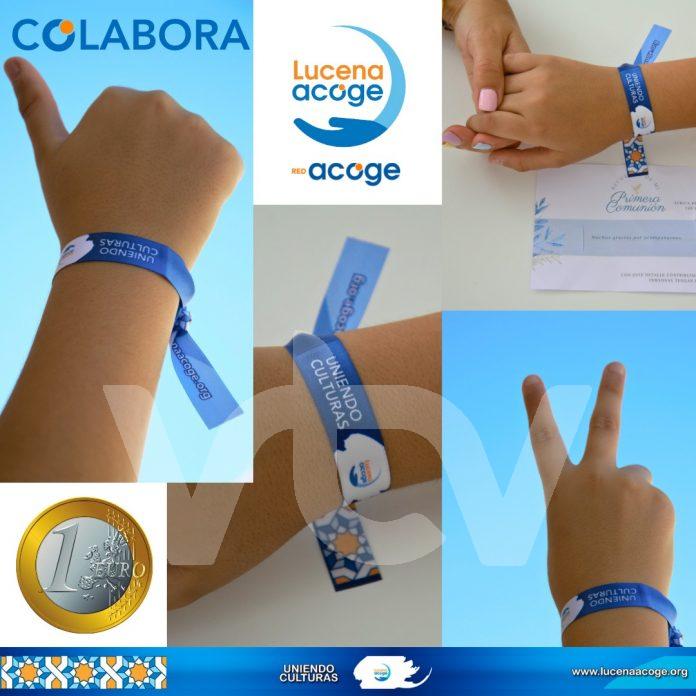 lucena acoge voluntariado