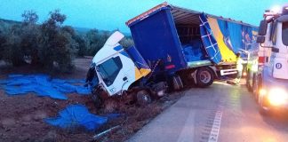 CAMION A-318