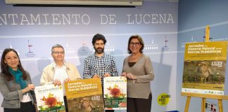 Medio ambiente, actividades