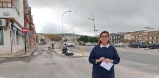 Plan arbolado