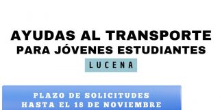 Ayudas transporte