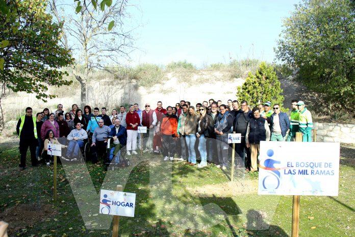 bosque discapacidad