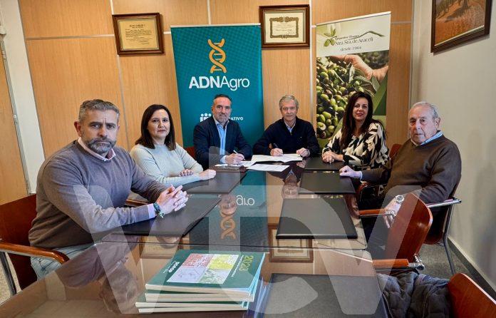 Convenio Cajamar y Cooperativa Olivarera Ntra Sra. de Araceli de Lucena Cooperativa y Cajamar