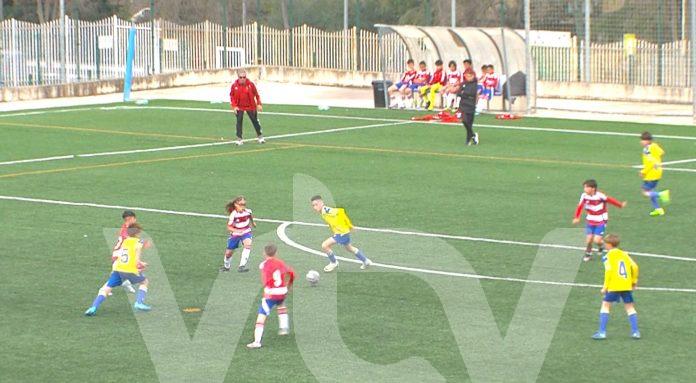 04-03-25 4 lucecor cup