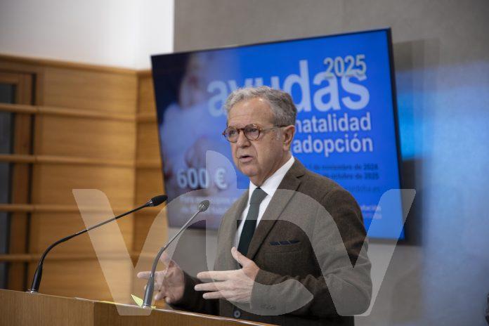 ayudas natalidad diputación