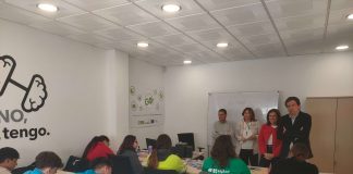Formación, albañilería