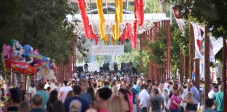 DIAS FERIA DEL VALLE