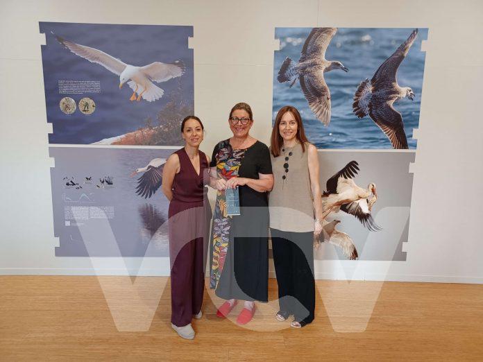 PLATISFERA Platisfera, Lucena