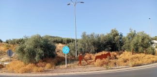 Ciudadanos, Limpieza, Lucena