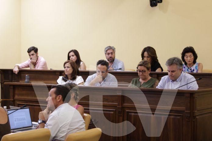 pleno pp