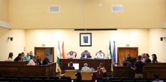 Pleno Ayuda a Domicilio