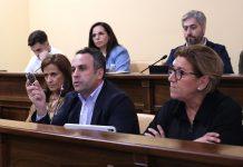 El pleno da luz verde a la externalización del servicio de limpieza y mantenimiento de parques y jardines