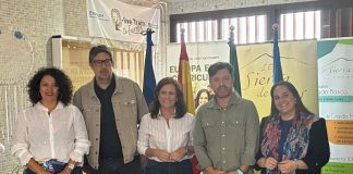 BULLYING, JUVENTUD, SALUD