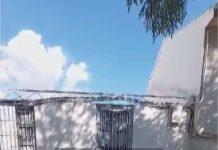 Detenido un individuo en Lucena por presunto intento de violación a una menor de 5 años