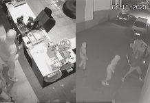 La empresa lucentina Valle de Aras sufre otro robo en su tienda gourmet