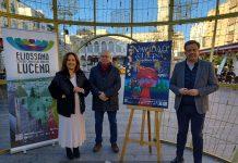 Campaña Navidad Lucena