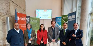 FORMACION EMPLEO PUEBLO GITANO