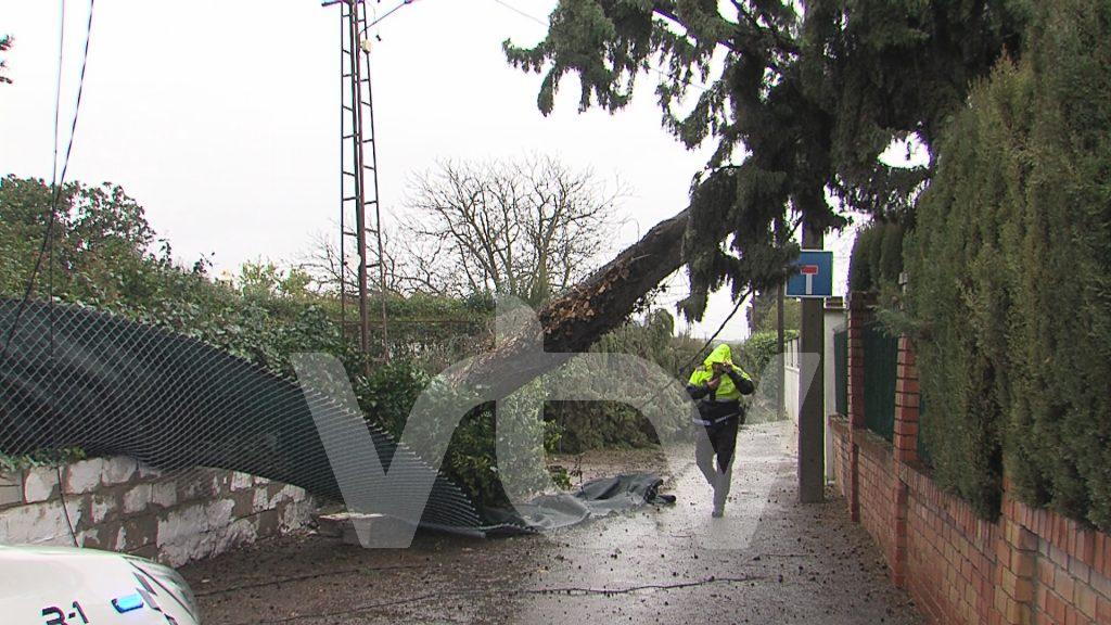 LEONARDO BORRASCA LUCENA