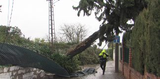 LEONARDO BORRASCA LUCENA