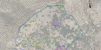 MORANA SUBVENCION LUCENA