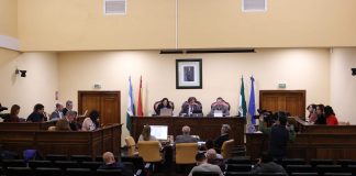 AYUDA A DOMICILIO LUCENA