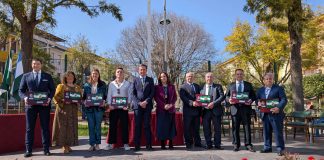 BANDERAS ANDALUCIA LUCENA