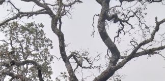 Diputación ayuntamiento Sierra Lucena