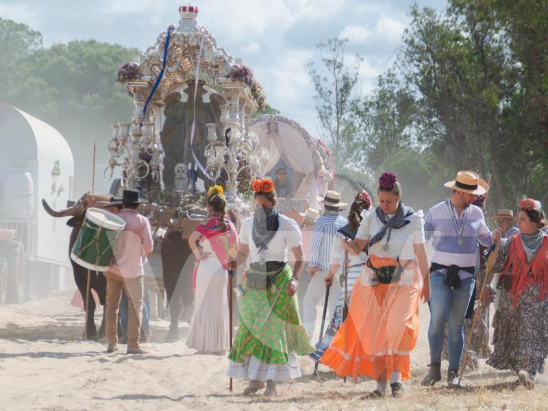 Canal Cofrade, Rocío 2026