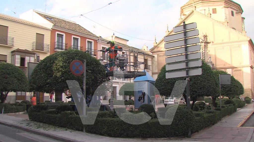 Servicio Jardinería Lucena
