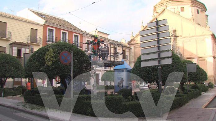 Servicio Jardinería Lucena